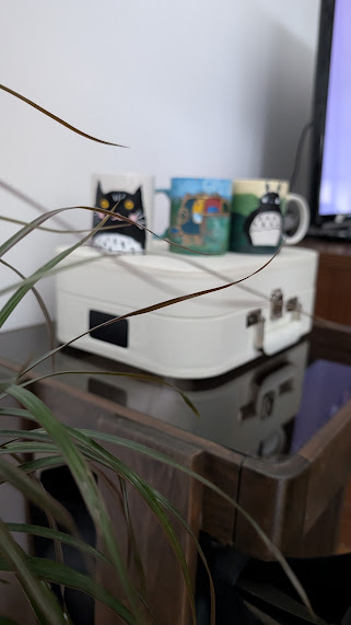 PXL 20260213 141322849 RAW 01 COVER